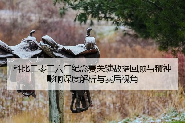 科比二零二六年纪念赛关键数据回顾与精神影响深度解析与赛后视角